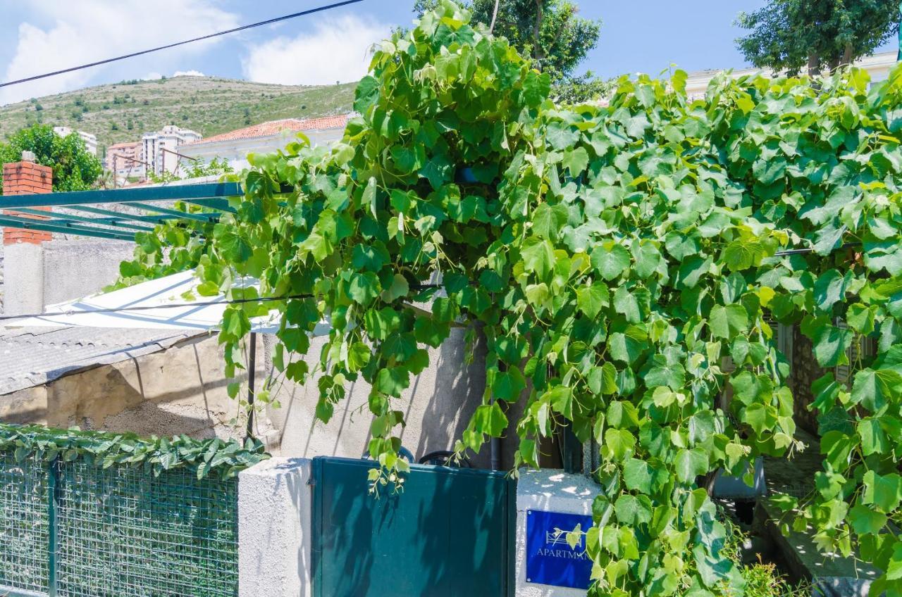 Apartment Adea Dubrovnik Dış mekan fotoğraf